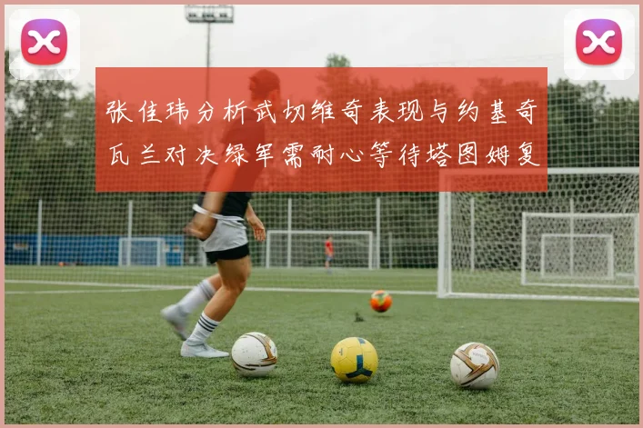 张佳玮分析武切维奇表现与约基奇瓦兰对决绿军需耐心等待塔图姆复出